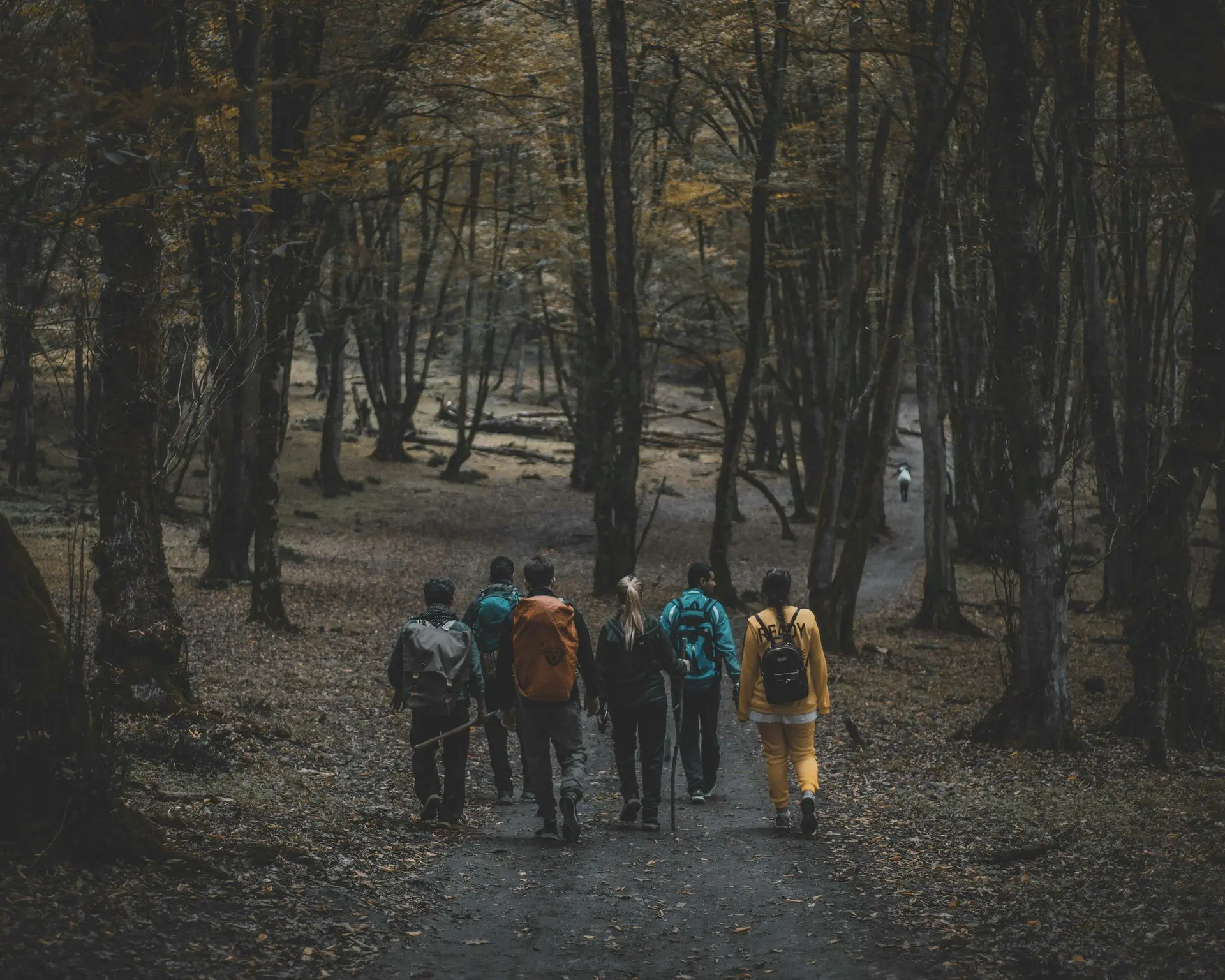 Grupp som vandrar tillsammans i skogen